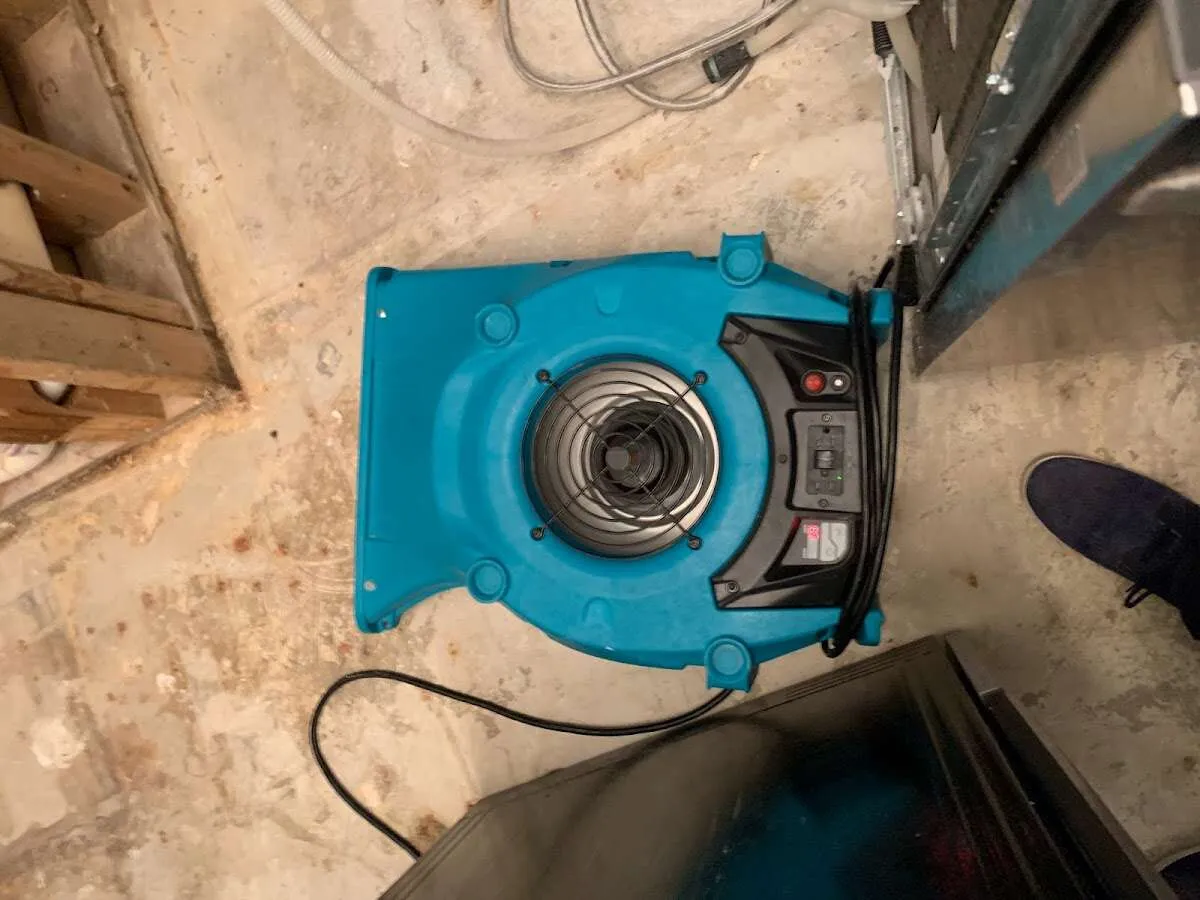 Air mover drying equipment for Mold Remediation & Removal in Eagan