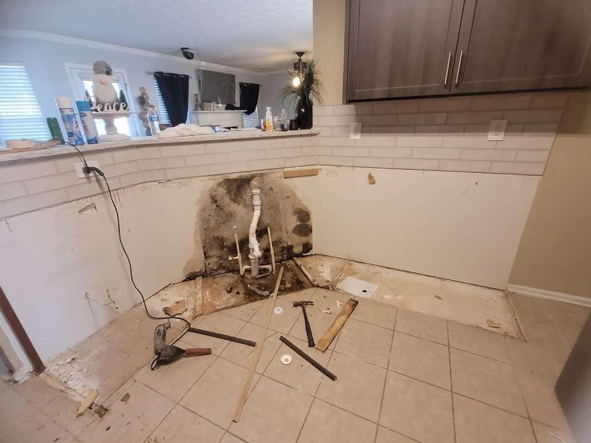 Mold behind wall with plumbing during Flood Damage Cleanup in Eagan